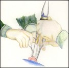 disegno 3 mani
