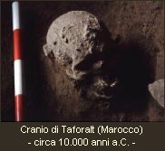 cranio Marocco
